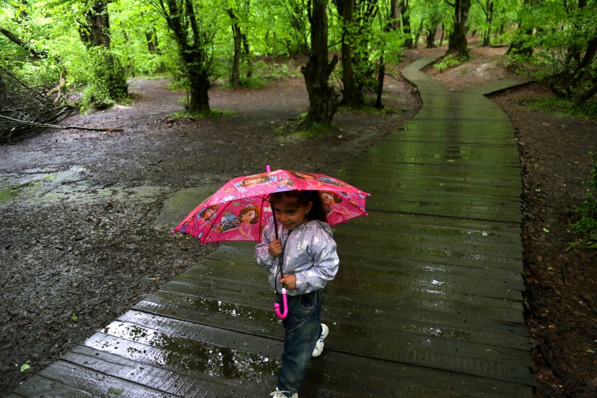 بارش باران در ۲۱ استان