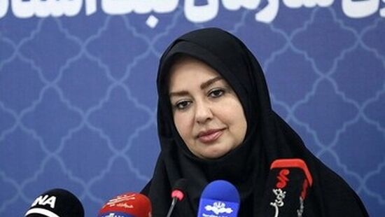 «مادر سند» چیست و چگونه می‌توان آن را پیدا کرد؟