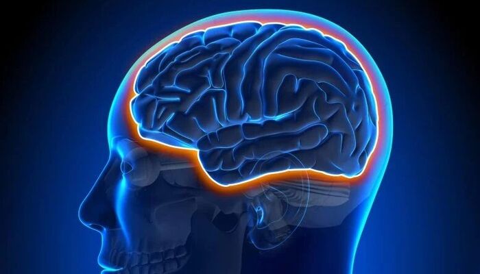 ورزش چگونه از مغز در برابر آلزایمر محافظت می‌کند؟