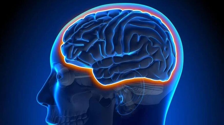 ورزش چگونه از مغز در برابر آلزایمر محافظت می‌کند؟