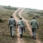 از هر ۳ محیط‌بان کشته‌شده تنها یک نفر شهید محسوب می‌شود
