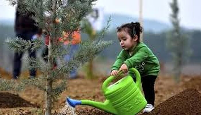 توزیع نهال رایگان در ۲۲بوستان منتخب پایتخت به مناسبت روز طبیعت