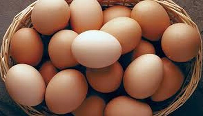 گله اتحادیه مرغداران از هزینه‌های تولید