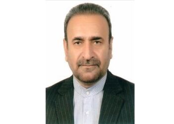 رئیس اداره نظارت کانون مرکز: شأن وکالت امری نسبی است و به برداشت اشخاص رسیدگی‌کننده و موضوعات بستگی دارد