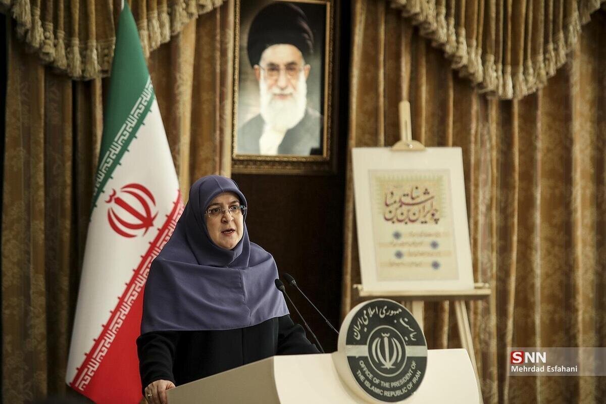 سخنگوی دولت: اینترنت پرو، مصوبه‌ شورای عالی امنیت ملی است