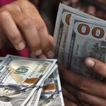 وعده درآمد دلاری؛ تله جدید کلاهبرداران «قصابی خوک»