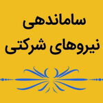وزیر کار: قرارداد‌های استاندارد جایگزین رابطه پیمانکاری می‌شود
