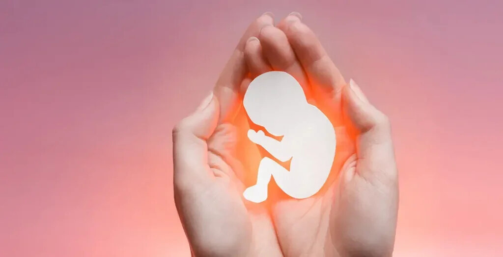 آمار صدور مجوز سقط جنین قانونی در سال ۱۴۰۴