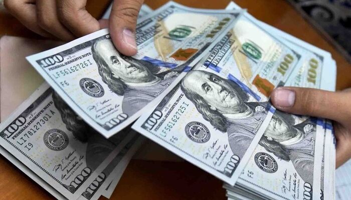 دادستانی تهران: نوسانات اخیر بازار ارز تحت تأثیر برخی عوامل میدانی و کانال‌های مجازی