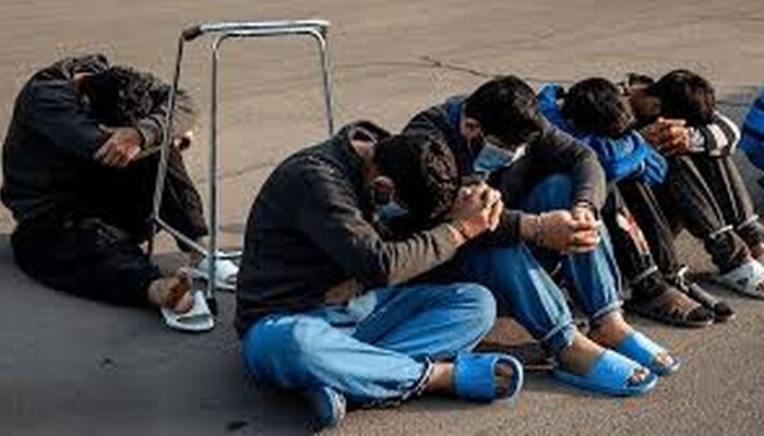 زمین‌گیر شدن ۴۷ سارق حرفه‌ای با شلیک پلیس 