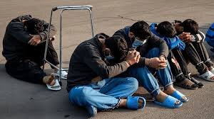 زمین‌گیر شدن ۴۷ سارق حرفه‌ای با شلیک پلیس 