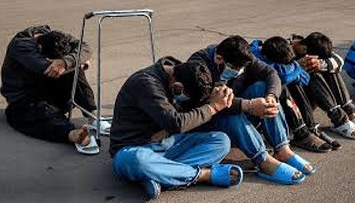 زمین‌گیر شدن ۴۷ سارق حرفه‌ای با شلیک پلیس 